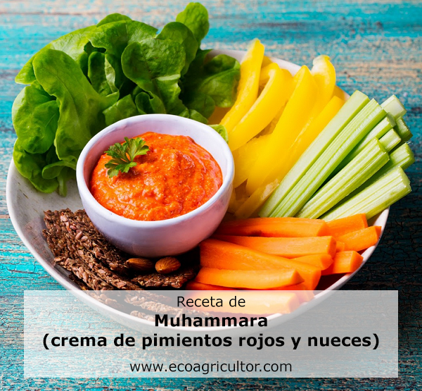 muhammara receta