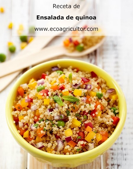 quinoa ensalada