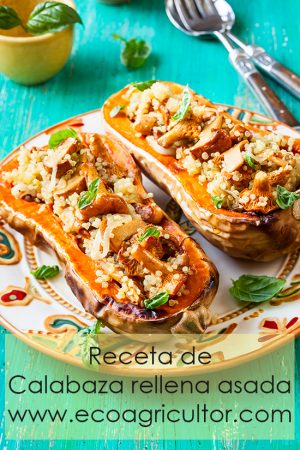 Calabaza rellena asada