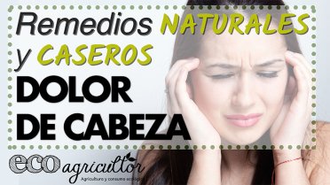 Vídeo Dolor de cabeza ECO agricultor