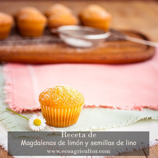 muffins limon receta