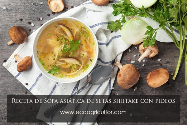 receta setas shiitake