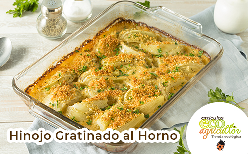 hinojo al horno receta