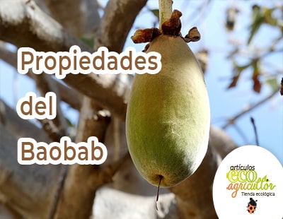 propiedades baobab